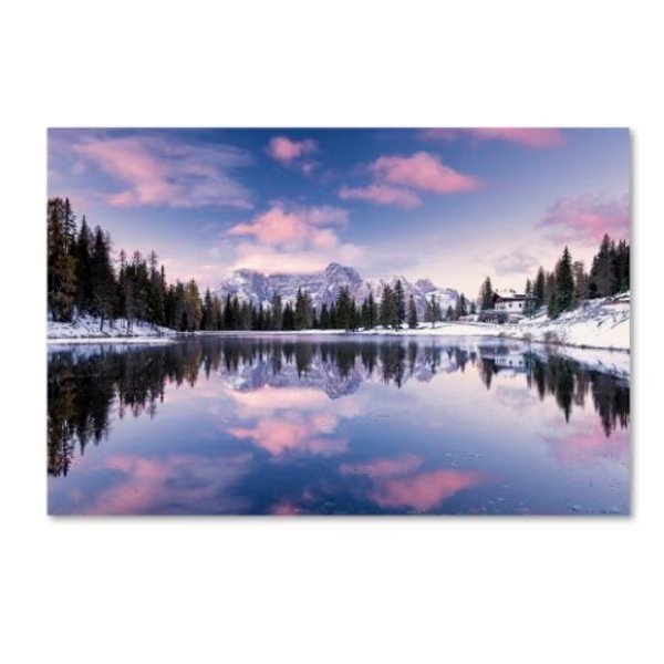 Michael Blanchette Photography 'Alpine Pink' Canvas Art, 12x19, Trademark Fine Art, Mfr#: ALI2334-C1219GG
